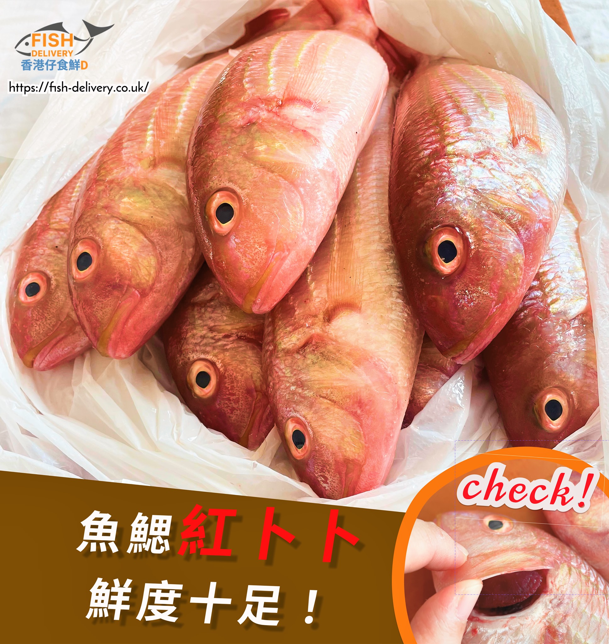 香港仔食鮮d 10月推介 幸運紅衫魚 Fish Delivery Uk